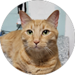 Profile photo of Alana Gregory