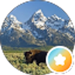 Profile photo of E P