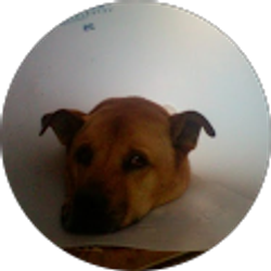 Profile photo of Karl Denson