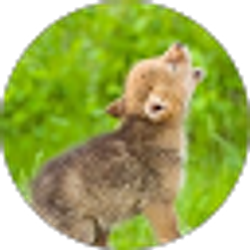 Profile photo of Dee Ortiz