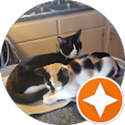 Profile photo of Mark Brown