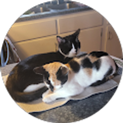 Profile photo of Mark Brown