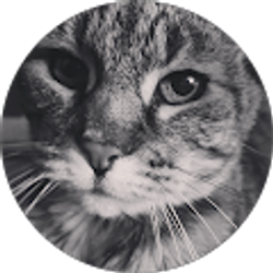 Profile photo of Veronica Serna