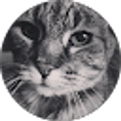 Profile photo of Veronica Serna