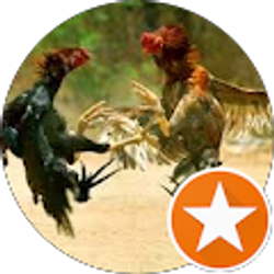 Profile photo of lorenzo prones