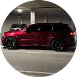 Profile photo of Gavin Burke