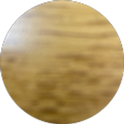 Profile photo of Gregorio Vasquez