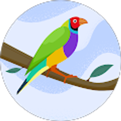 Profile photo of Guadalupe M Romero