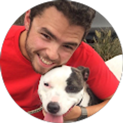 Profile photo of Anthony Murgidi