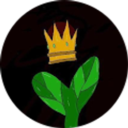 Profile photo of Plant King