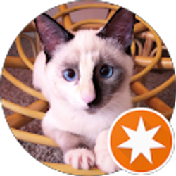 Profile photo of miranda moore