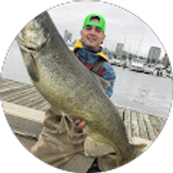 Profile photo of The Fish Finesser