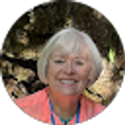 Profile photo of Ellen McLean