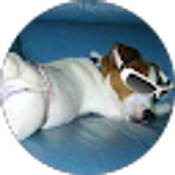 Profile photo of Leigh Van Gundy
