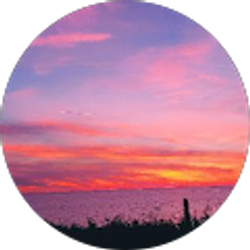 Profile photo of Beth Young