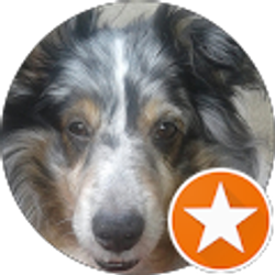 Profile photo of Victoria George