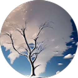 Profile photo of Sherrie G