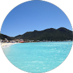 Profile photo of king King