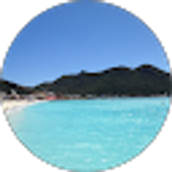 Profile photo of king King