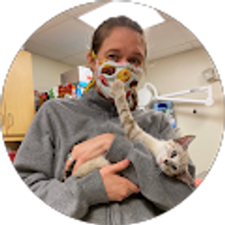 Profile photo of Laurie Elseroad