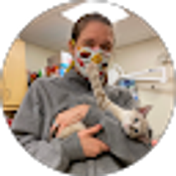 Profile photo of Laurie Elseroad