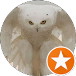 Profile photo of Anna-Maria Smith