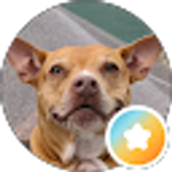 Profile photo of m s