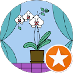 Profile photo of dawn diesi