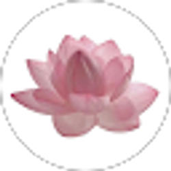 Profile photo of McKayla Forbes