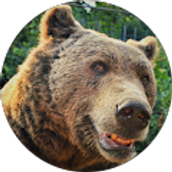 Profile photo of Smilingbear