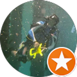 Profile photo of Harold Ortega