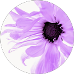 Profile photo of Blossom Clarke