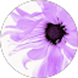 Profile photo of Blossom Clarke
