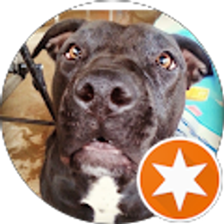 Profile photo of Livy Loo