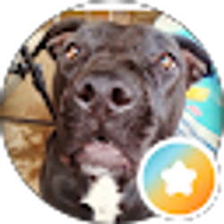 Profile photo of Livy Loo
