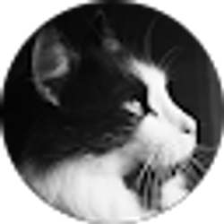 Profile photo of Gina Palmer