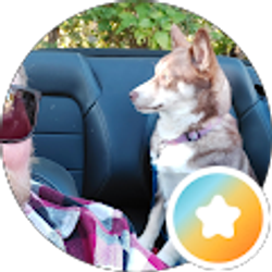 Profile photo of David Overley