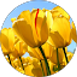 Profile photo of Cherian Idiculla