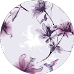 Profile photo of Aileen Otero