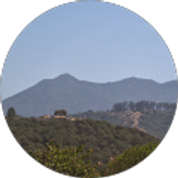 Profile photo of E Fowler