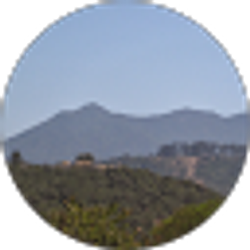 Profile photo of E Fowler