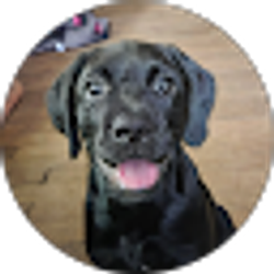 Profile photo of Leah Tanner