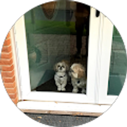 Profile photo of Jim Lossing