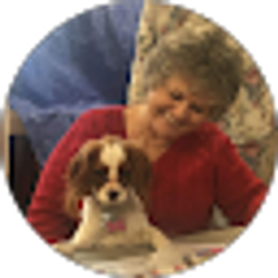 Profile photo of Lynn Sue Biswell