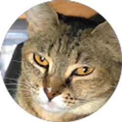 Profile photo of Charity Selsor