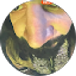 Profile photo of Blessyn Morris (Will)