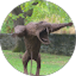 Profile photo of Dan Burke