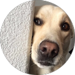 Profile photo of Pinkryder 10