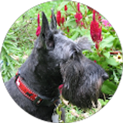 Profile photo of Jill J