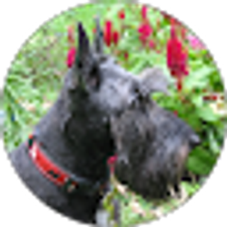 Profile photo of Jill J